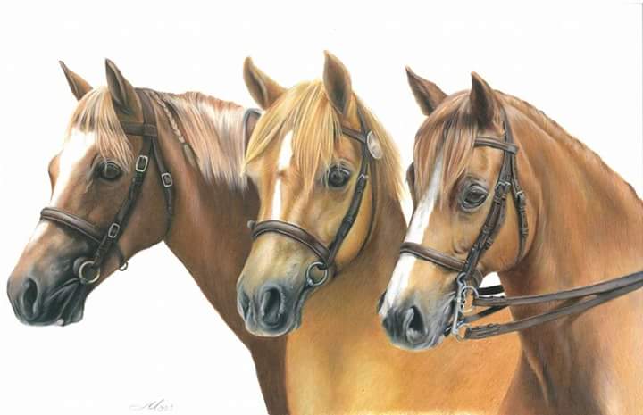 Horse Art