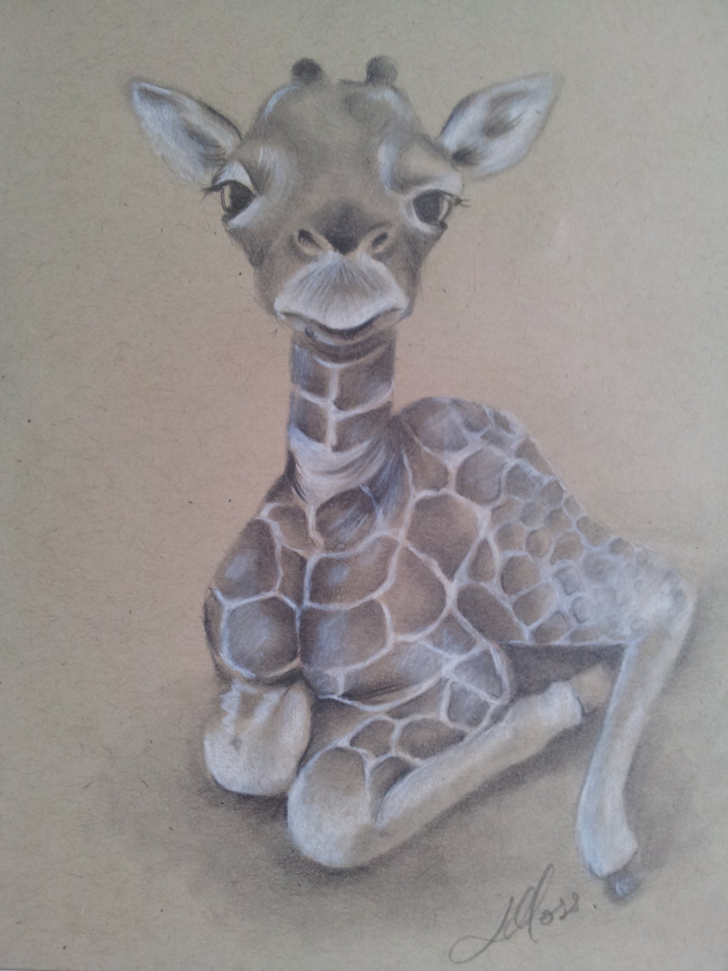 Baby giraffe drawing, Graphite Giraffe drawing