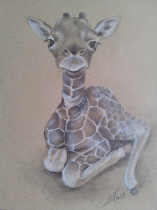 Baby giraffe drawing, Graphite Giraffe drawing