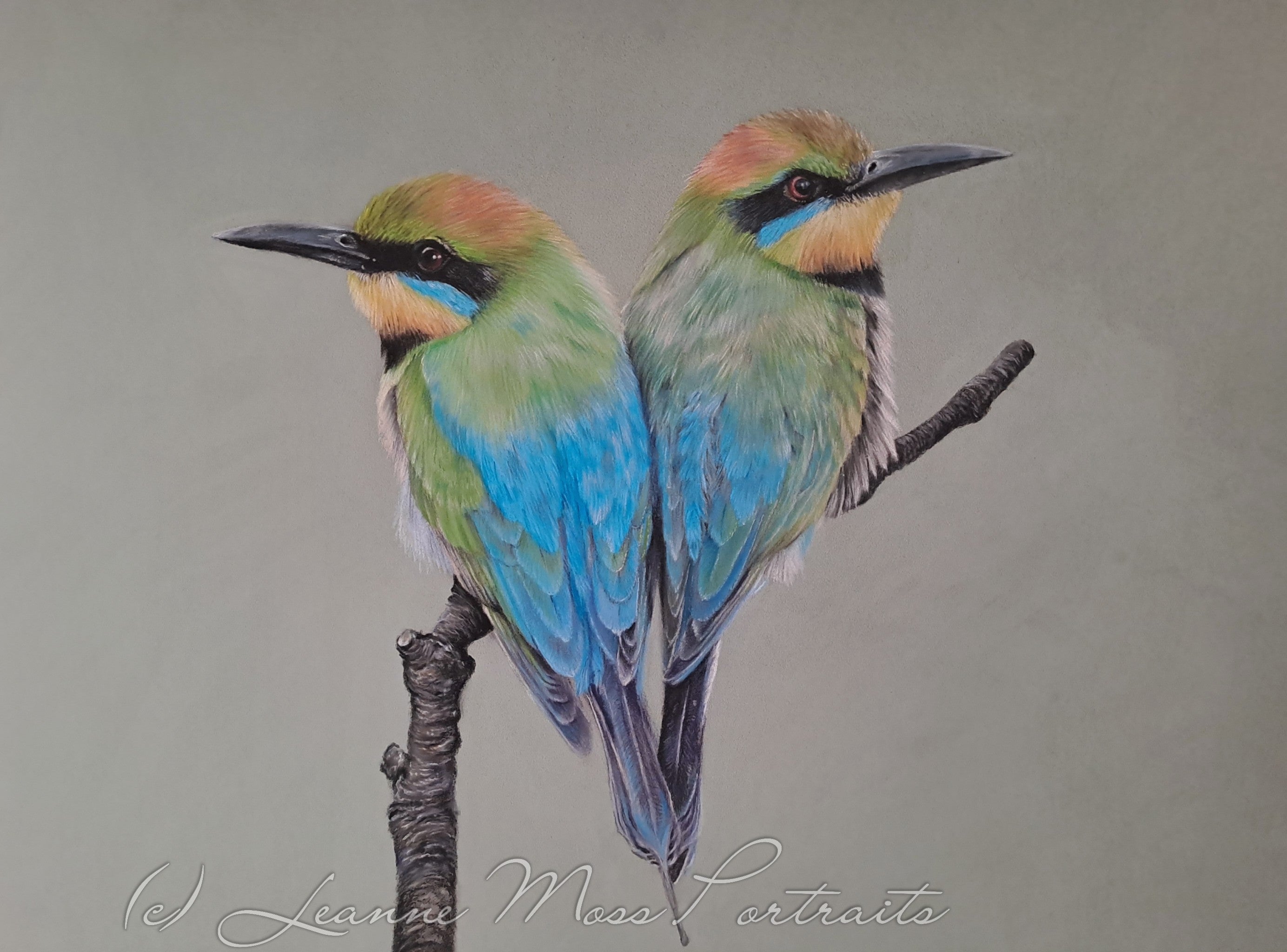 Rainbow Connection – Leanne Moss Portraits & Fine Art