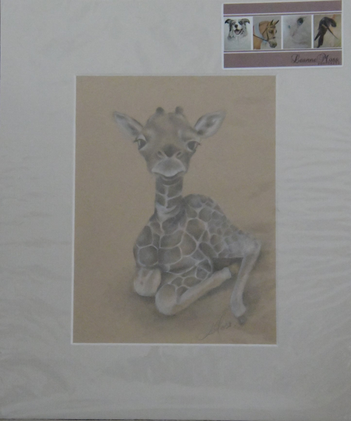 Original Graphite Baby Giraffe Drawing