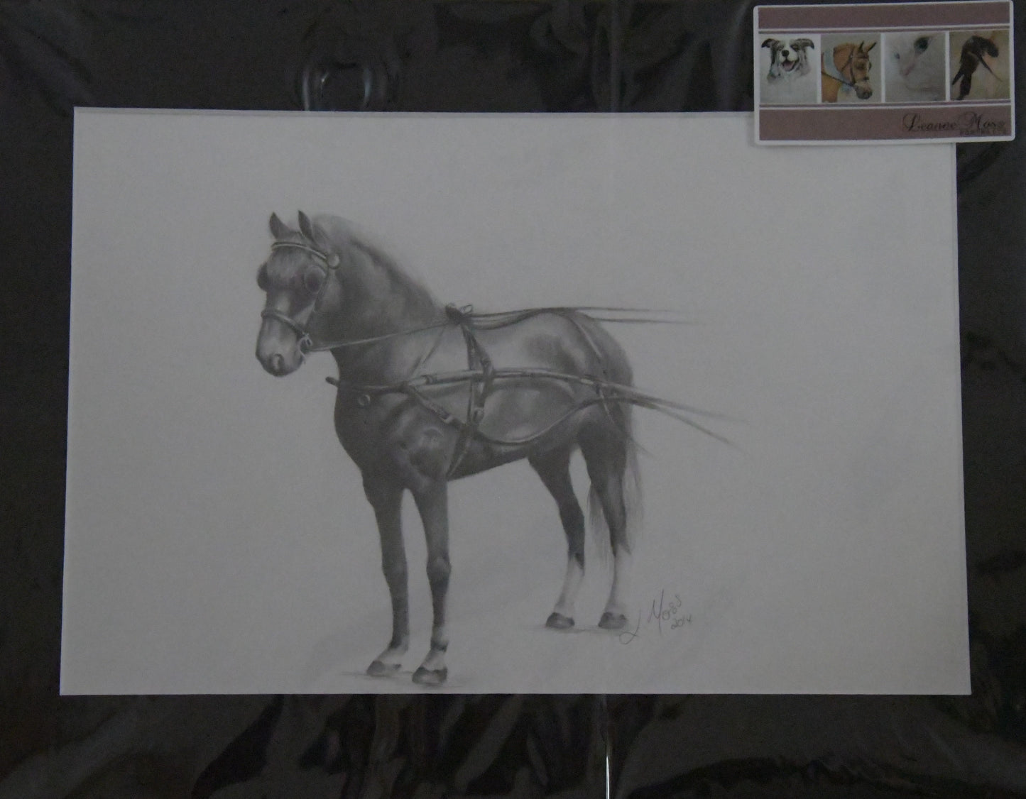 Original Graphite Drawing - Cart Pony