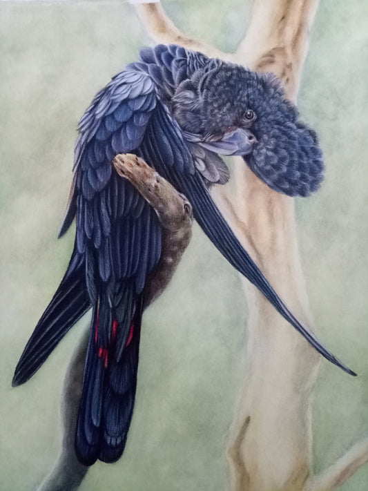 Cheeky Boy - Framed Original