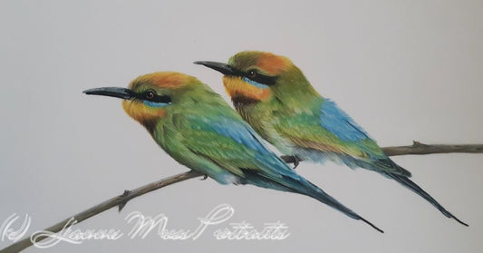 Rainbow Bee Eaters - Framed Original