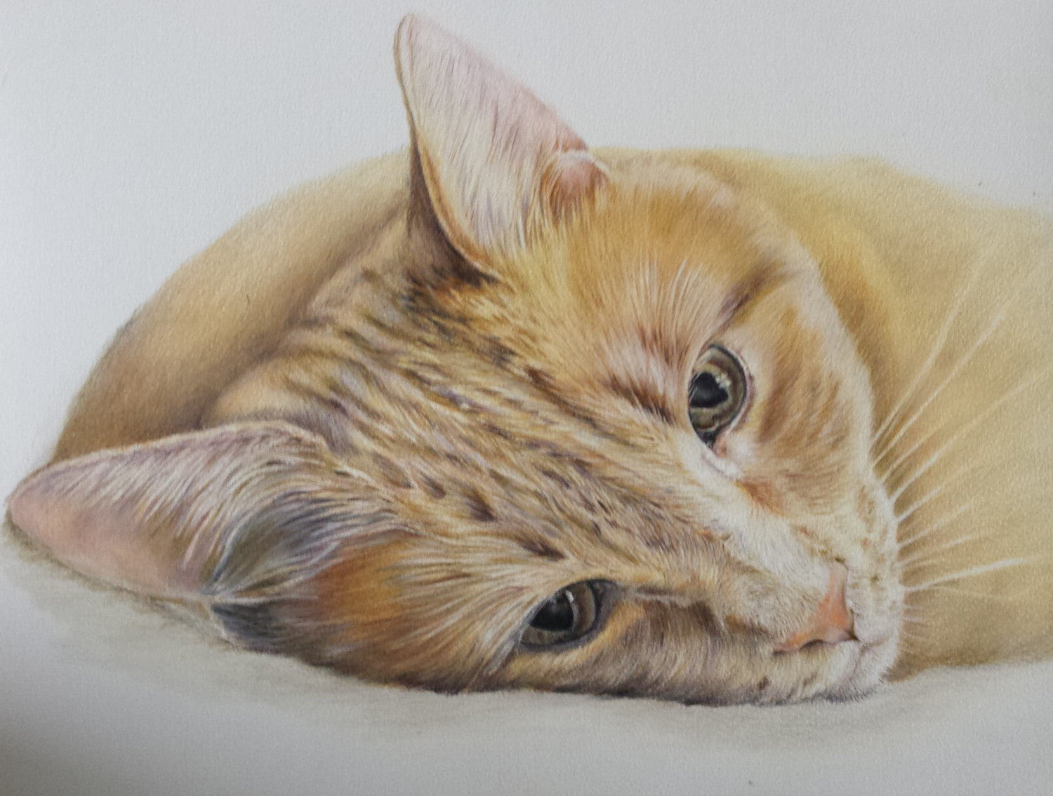 Print of Cat Drawing, Print of Cat Artwork